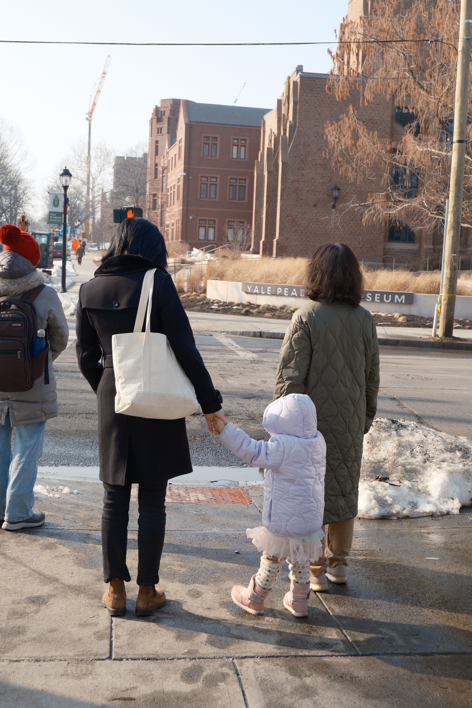 Pedestrians and a small child waiting to cross the street outside the Yale Peabody Museum