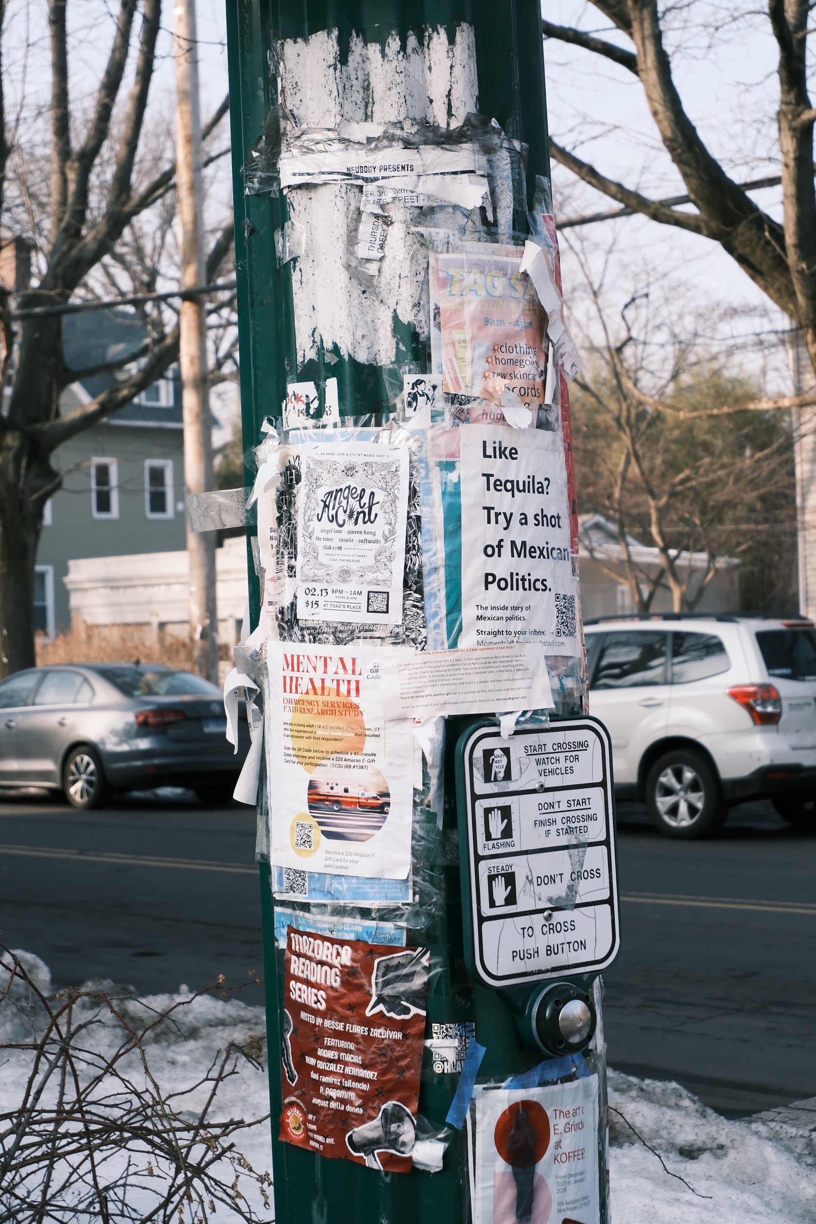 A green utility pole layered with flyers, stickers, and a crossing-signal placard beside a snowy road